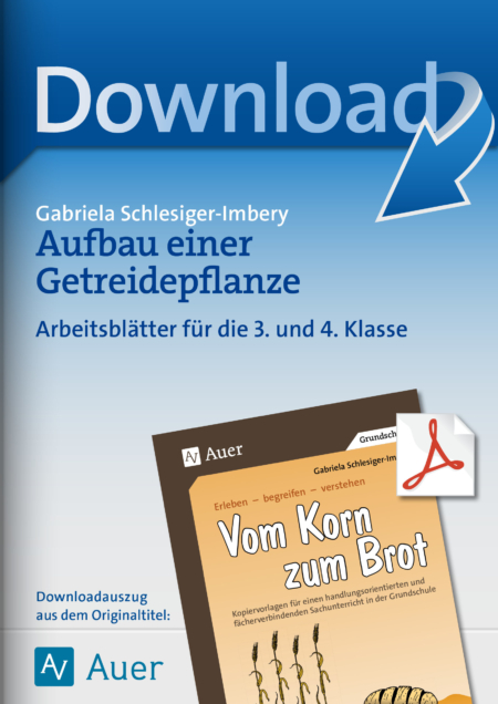 Aufbau einer Getreidepflanze